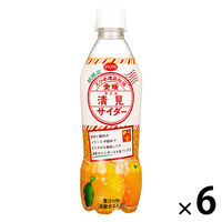【アウトレット】えひめ飲料 POM 愛媛清見サイダー 410ml 1セット（6本）