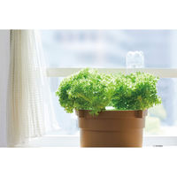 協和 ホームハイポニカぷくぷく2 00333456 1個（直送品）