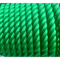 泰興 リプロンFロープ 緑 20mm×200m 1巻（直送品）