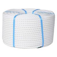 泰興 ダイアマックスロープ 18mm×200m 1巻（直送品）