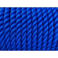 泰興 リプロンFロープ 青 28mm×200m 1巻（直送品）