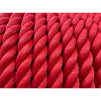 泰興 リプロンFロープ 赤 30mm×200m 1巻（直送品）