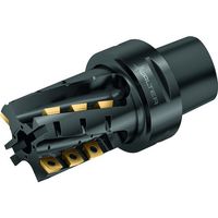 ワルタージャパン Walter ポーキュパインカッターボディ M4258-050-C6-02-50-B 1個 410-9512（直送品）