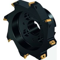 ワルタージャパン Walter 肩削りカッター M5130ーBボア穴タイプ 12枚刃 M5130-160-B40-12-15 1個（直送品）