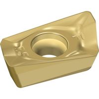 ワルタージャパン Walter ミーリング加工用 ひし形ポジチップ WSP45G BCMT120408R-F55 1セット(10個)（直送品）