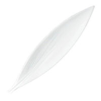 金正陶器 白磁リーフ g-2344-12 1セット(6個)（直送品）