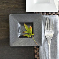 金正陶器 鉄釉プリムプレートS g-2345-08 1セット(10個)（直送品）