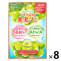 グミ 食べきりサイズ 機能性表示食品 果実グミ シャインマスカット味 40g 1セット（1個×8）