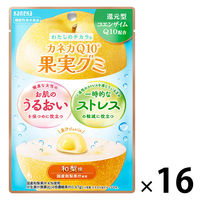 グミ 食べきりサイズ 機能性表示食品 果実グミ 和梨味 40g 1セット（1個×16）