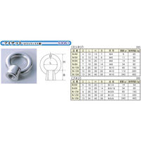 ひめじや アイナット ロストワックス製 INー6W ブネジ 金具 1100100013408 1個（直送品）