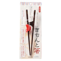 イシダ トレーニング箸 ちゃんと箸 きちんと箸 木製 大人用×21cm×右利き用 266785 1個（直送品）