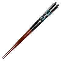 CV_  21cm 23cm v~AAC S[WXC v{ ؐ VR ъL { ubN 359606 1iij
