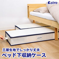 AXg xbh[P[X zCg 618-79N 1Zbg(3)iij