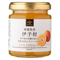 愛媛県産伊予柑のマーマレード 115g 1瓶 久世福商店 国産　ジャム　パン