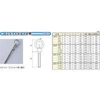 ひめじや ロングアイボルトB型 LBBー10×80 ナット・ワッシャー各1個付 金具 1100100013509 1個（直送品）