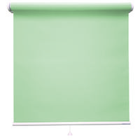 立川機工 ロールスクリーン 無地洗える TR-1525 リーフグリーン 幅1700mm