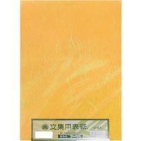 ゴークラ 文集用表紙 うんりゅう A4 210×297mm 136g/平方m 730 みかん A4BH-730 1セット(1袋(50枚入)×5)