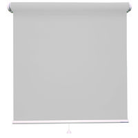 立川機工 ロールスクリーン 無地洗える TR-1509 60×120cm スモーク 1台（直送品）