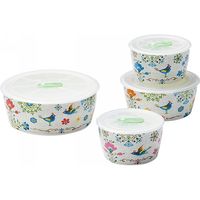 【ギフト包装】山勝美濃陶苑　ルーチェ　高気密レンジパック4点セット　210149087　1個（直送品）