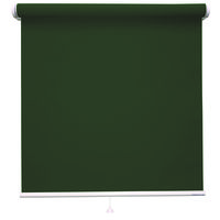 立川機工 FIRSTAGE ファーステージ ロールスクリーン 洗える 1000×1500mm 千歳緑色 TR-5177 1台（直送品）