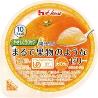 ハウス食品 やさしくラクケアシリーズ まるで果物のようなゼリー みかん  1ケース（48個入）   介援隊 E1125（直送品）