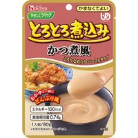 ハウス食品 とろとろ煮込み かつ煮風 80g 426334 1ケース（40個入） 　介援隊 E1647（直送品）