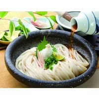 藤井製麺 【お中元ギフト・のし付き】藤井製麺 国産小麦粉使用 包丁切りさぬき半生うどん「麺の極」 ONB-30 936312 1セット（直送品）