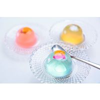 京都宇治菓楽（からく） 【お中元ギフト・のし付き】京都宇治菓楽（からく） 涼々ゼリー詰合せ E-8000 991541 1セット（直送品）