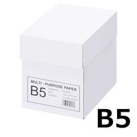 エイピーピー・ジャパン マルチパーパスペーパー コピー用紙 B5（1箱5冊） IKH904