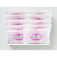 【お中元ギフト・のし付き】伊賀上野直売所 さくらポーク生ハンバーグ HB10-SP 331148 1セット サンショク（直送品）