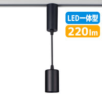 朝日電器 ＬＥＤライティングバー用ライト LRS-P01D(BK) 1個（直送品）