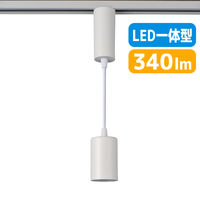 朝日電器 ＬＥＤライティングバー用ライト LRS-P01L(IV) 1個（直送品）