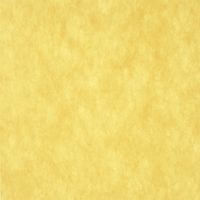 三景 ピピ無地 イエロー 900×900(200枚) 430040 1袋(200枚入)（直送品）