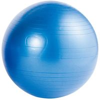 エバニュー ノンバーストバランスボール75 ETB603 1個