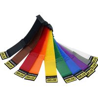 プレミアムシリーズ リップロックケーブルラップ 25.4mmX546.1mm  100本入 虹（直送品）