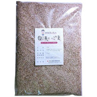 アサヒ食品工業　白洗いごま 1ｋｇ　20487　1袋（直送品）