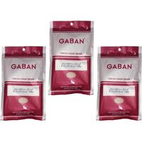 送料無料 GABAN フライドポテトシーズニング（ガーリックアンチョビ）　100ｇ×3袋　【ミックススパイス 香辛料 パウダー】　（直送品）