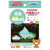 ルミカ ふしぎな実験キット　光る結晶の山 E29983 1箱（144個入）（直送品）