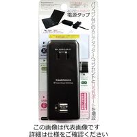 カシムラ 旅行用USB充電器USB1P 1A WH WM-11 1個（直送品）