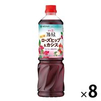 ミツカン 業務用フルーティス　りんご酢ローズヒップ＆カシス 1000ml 6倍濃縮タイプ 大容量　飲むお酢　リンゴ酢