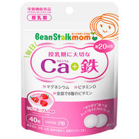 ビーンスタークマム 毎日Ca（カルシウム）+鉄（20日分） 1袋（40粒入）  授乳期 サプリメント 雪印ビーンスターク