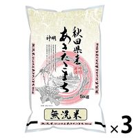 秋田県産 あきたこまち 15kg（5kg×3袋） 【無洗米】 令和5年産 米 お米
