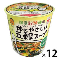 ヒガシマル 国産穀類使用 体にやさしい五穀スープ あっさり和風塩味 12個 カップスープ