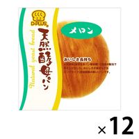 デイプラス 天然酵母パンメロン 12個