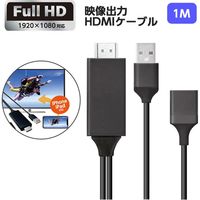 エアージェイ HDMI1m iPhoneをTVで楽しむ AHD-P1M BK 1個（直送品）