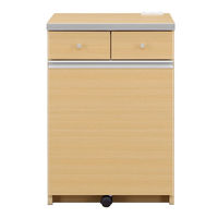 【軒先渡し】サン ワルツ ダストカウンター 53L 幅550×奥行450×高さ805ｍｍ ナチュラル 89013 1台（直送品）