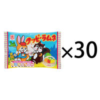 カクダイ製菓 クッピーラムネ ９G 1箱（30袋入）