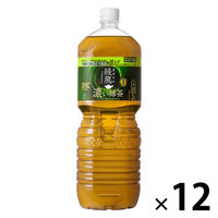 コカ・コーラ 綾鷹 濃い緑茶 2L 1セット（12本）