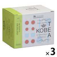 神戸紅茶 生紅茶 クイーンズハイランド 1セット(1箱(16バッグ入)×3) 個包装