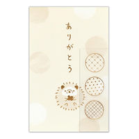 Gkr[ ۂ JWA 肪Ƃ nlY~ 3EV[ 2649011 1Zbg(1pbN×5)iij